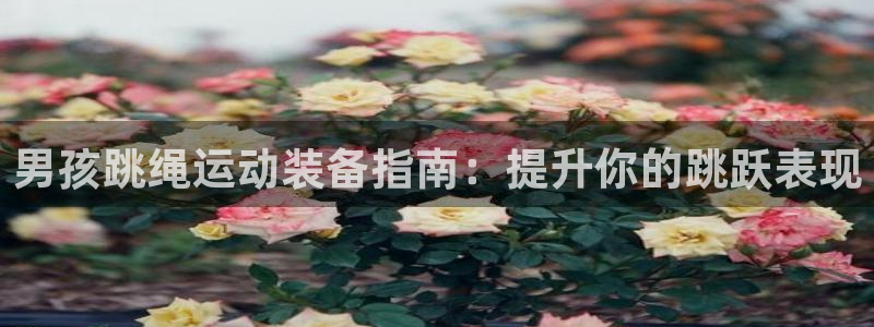 千亿国际平台