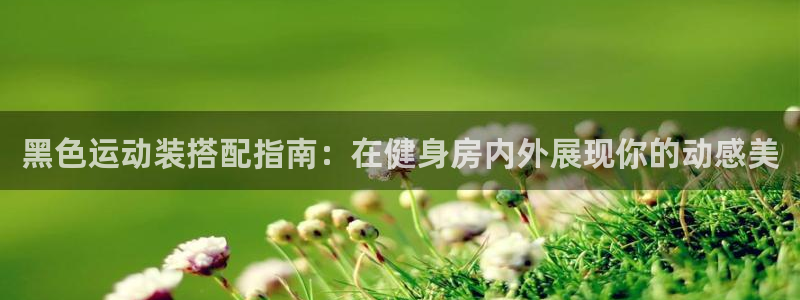 qy千亿国际